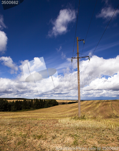 Image of column in the field 