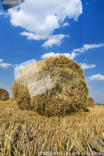 Image of straw stack 