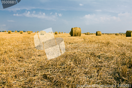 Image of straw stack  