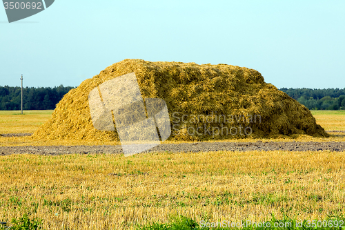 Image of  straw stack  