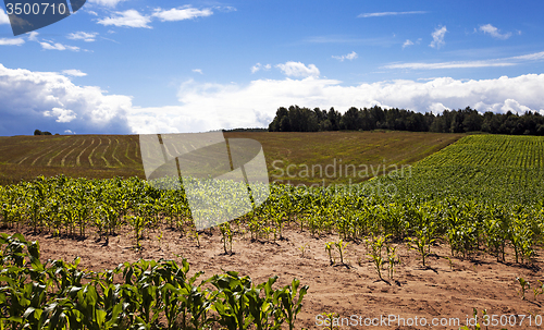 Image of agricultural field  