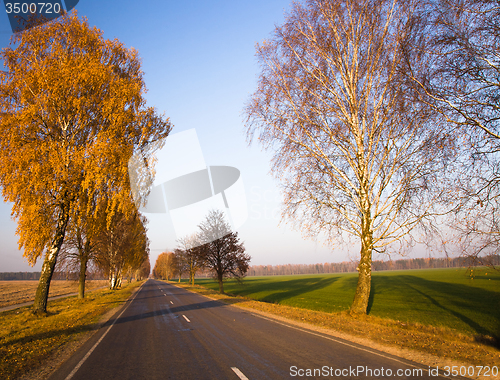 Image of  road autumn