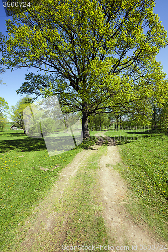 Image of the road  