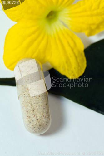 Image of medicinal pill yellow flower