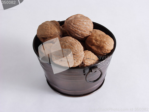 Image of Walnuts Contained