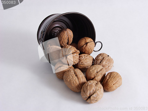 Image of Walnut Escape