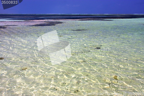 Image of africa coastline froth foam  in the   relax  of zanzibar 