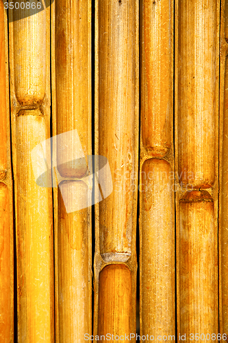 Image of thailand abstract cross bamboo in the temple kho phangan  