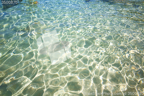 Image of thailand kho tao   in water   south china sea