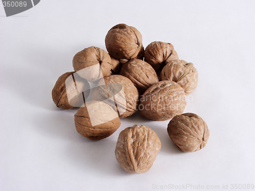 Image of Walnuts Free