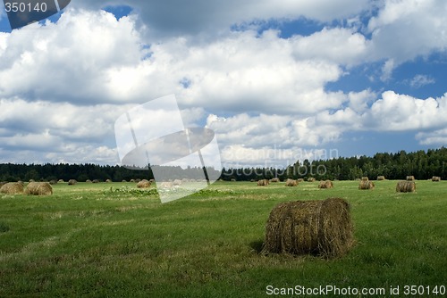 Image of Stacks Hay