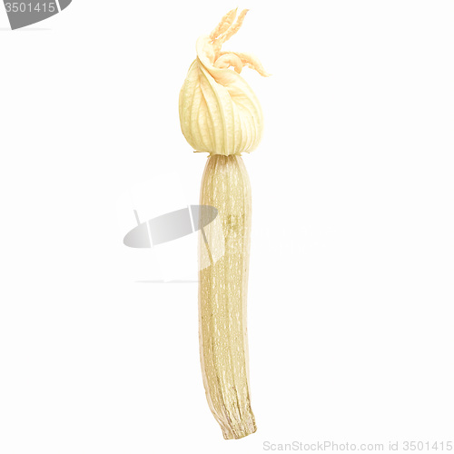 Image of Retro looking Courgettes zucchini