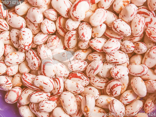 Image of Retro looking Cranberry beans