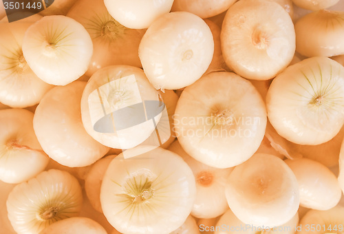 Image of Retro looking Onions