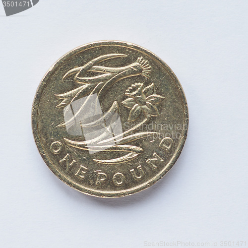 Image of UK 1 Pound coin