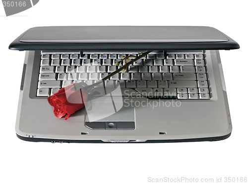 Image of Laptop and red rose, isolated