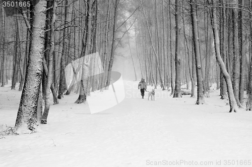 Image of Woman with a dog on a snowy winter alley