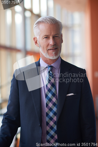 Image of senior business man portrait