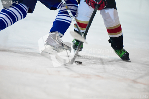 Image of ice hockey sport players