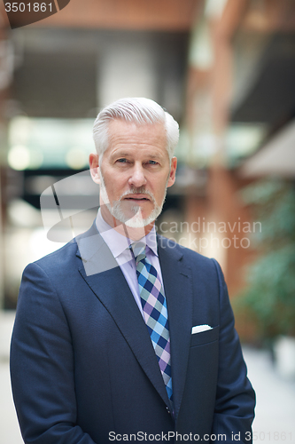 Image of senior business man portrait