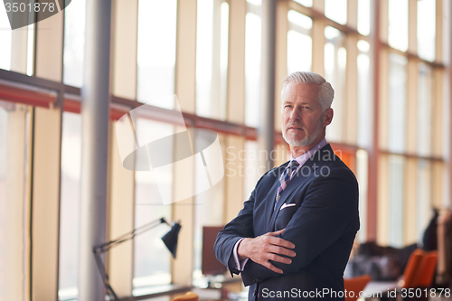 Image of senior business man portrait