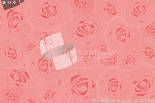 Image of Nice red roses - background