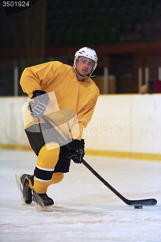 Image of ice hockey player in action