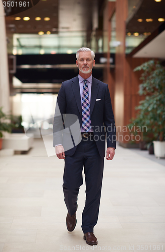 Image of senior business man portrait