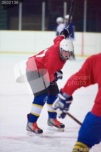 Image of ice hockey sport players