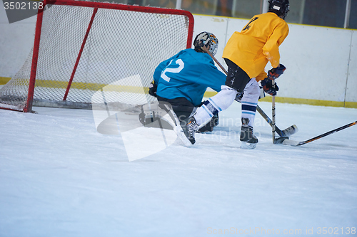 Image of ice hockey sport players