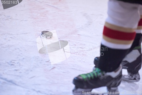 Image of ice hockey player in action