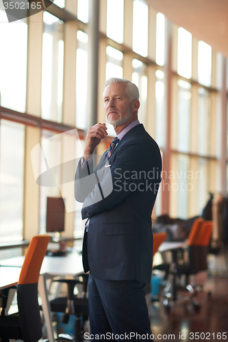 Image of senior business man portrait
