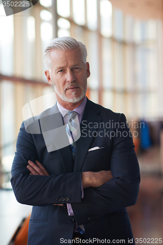 Image of senior business man portrait