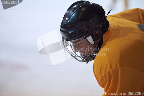 Image of ice hockey player portrait