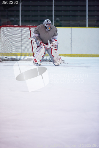 Image of ice hockey player in action