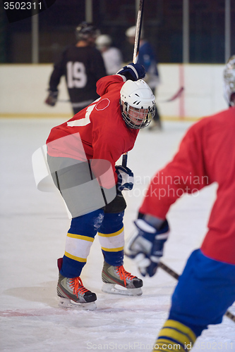 Image of ice hockey sport players