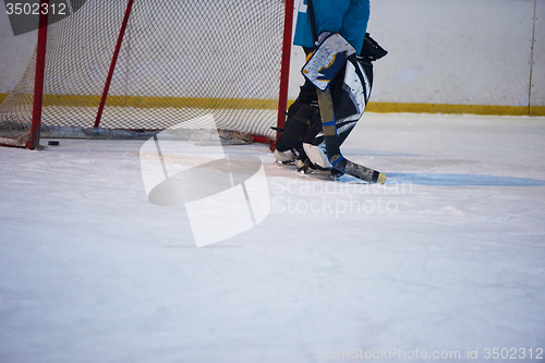 Image of ice hockey player in action