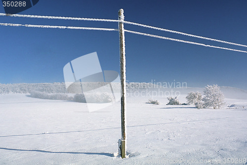 Image of Winter lanscape with snowy telephone lines