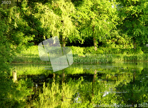 Image of green water