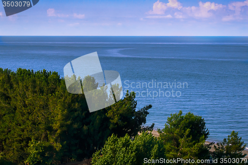 Image of Landscape with sea views. Pitsunda, Abkhazia.