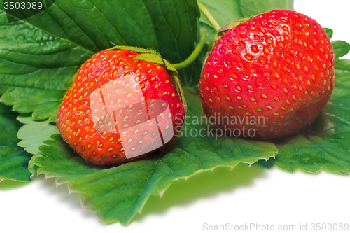 Image of Strawberries and green leaves on a white background.