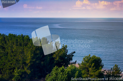 Image of Landscape with sea views. Pitsunda, Abkhazia.