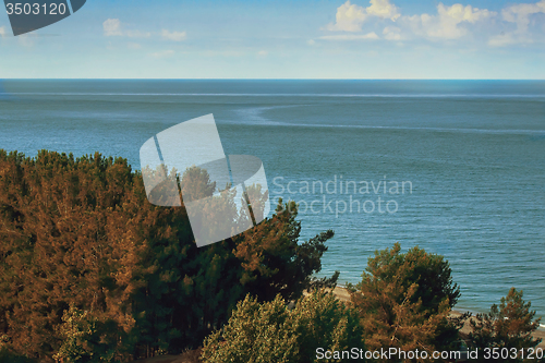 Image of Landscape with sea views. Pitsunda, Abkhazia.