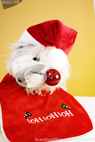 Image of Red nose