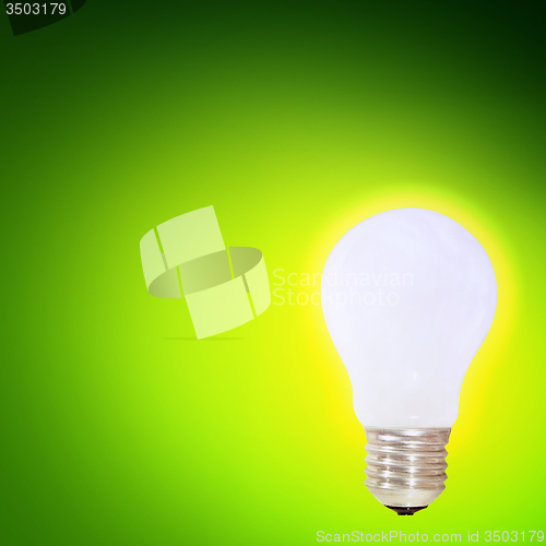 Image of White bulb