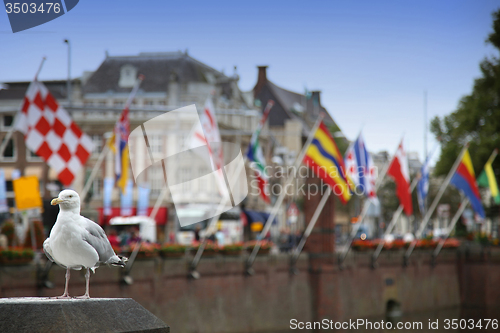 Image of Seagull standing on a pillar, centre of Hague at lake Hofvijver 