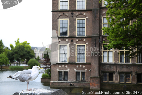 Image of Binnenhof Palace, Dutch Parlament in the Hague, Netherlands