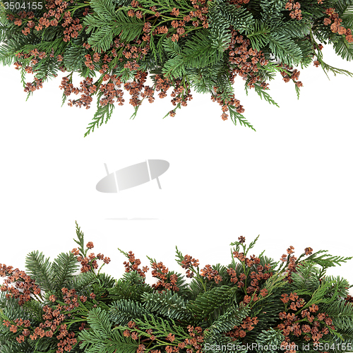 Image of Spruce and Cedar Cypress Border
