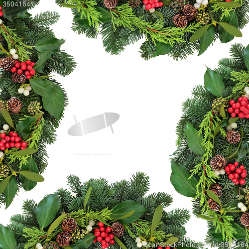 Image of Winter Flora Background