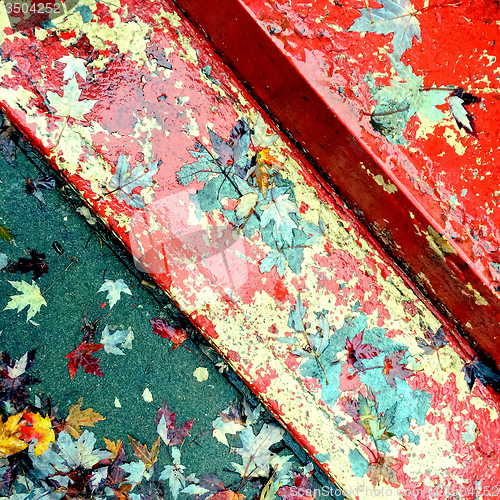 Image of Old painted steps covered with autumn leaves